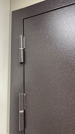 Входная дверь  