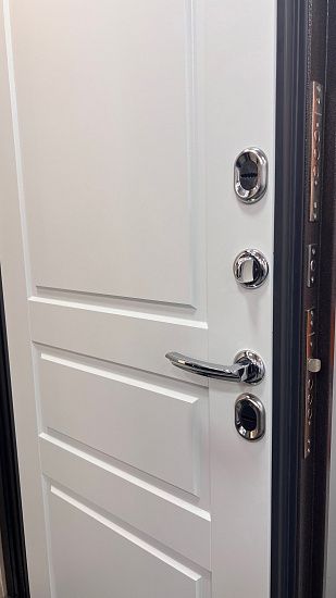 Входная дверь  